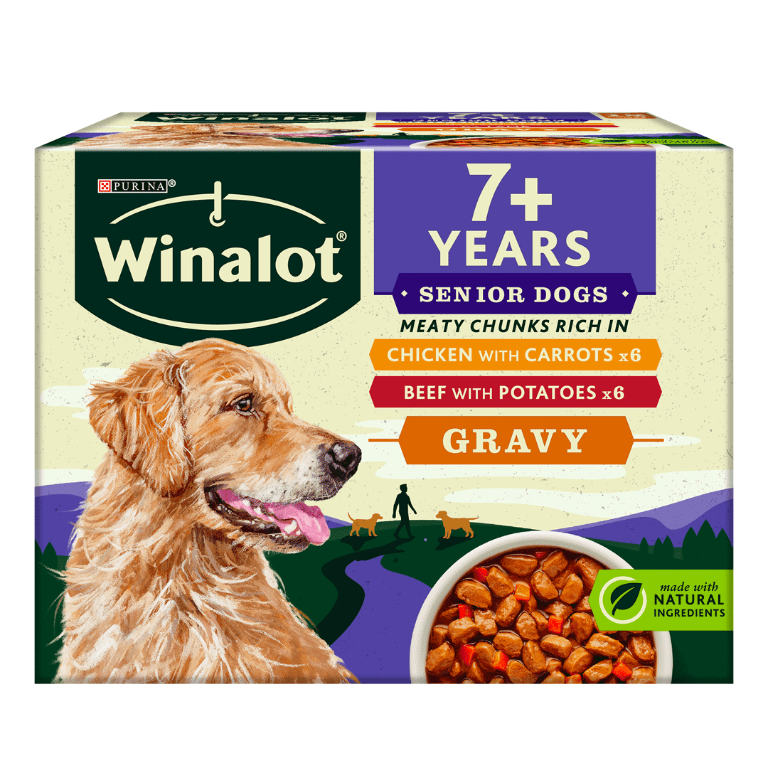 Senior canned outlet dog food